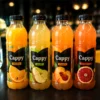 Cappy Nectar 0.25l